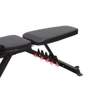 Adjustable Bench With Hamstring Curl & Leg Extension